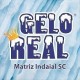 Gelo 3kg